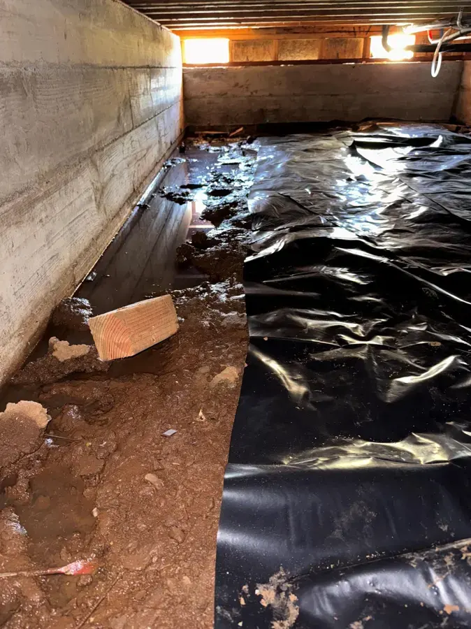 Wet vapor barrier on the ground of a crawl space, checked before drying begins