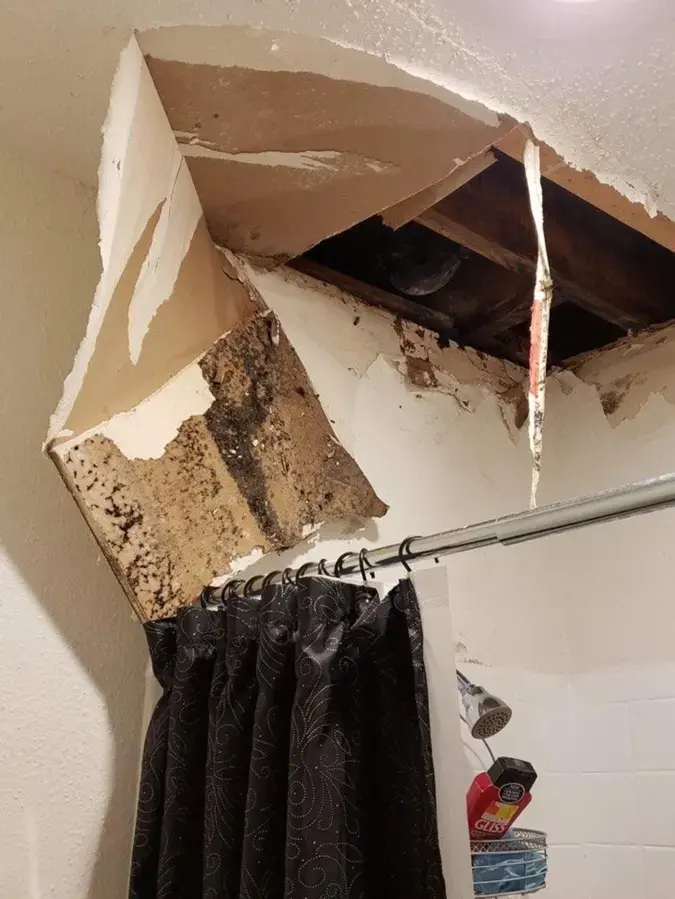 Collapsed, water-soaked ceiling drywall hanging open above a shower