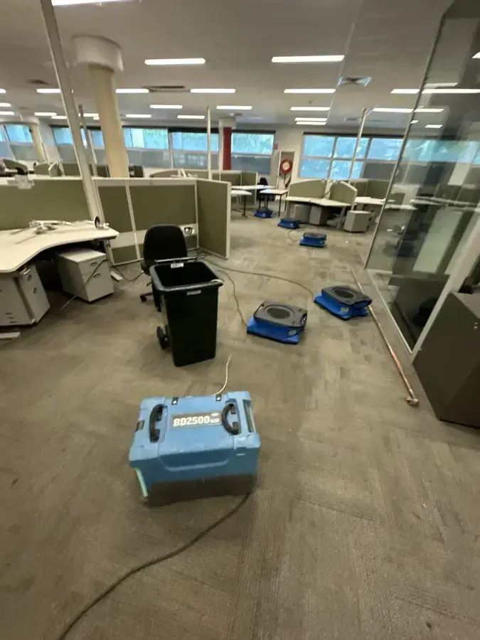 Air movers and a dehumidifier drying carpet in an open office