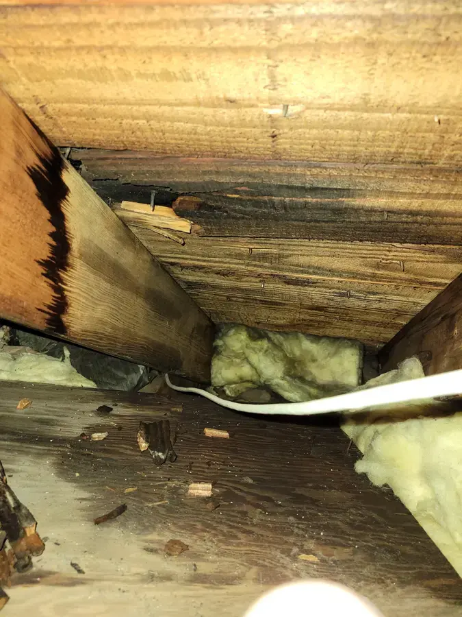 Water-stained attic roof sheathing above wet insulation